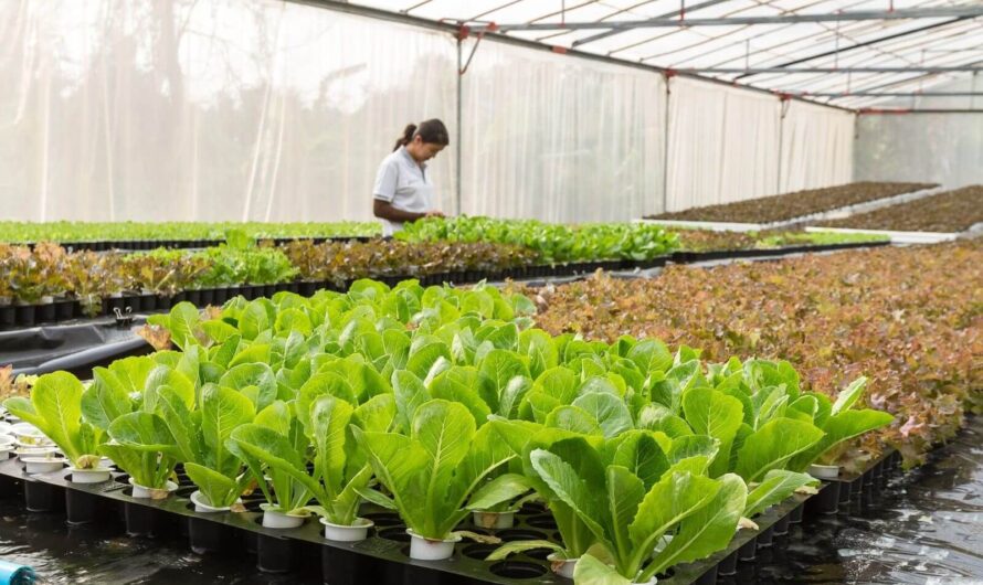 Aquaponics Market is Estimated to Witness High Growth Owing to Advancements in Aquaculture Technologies