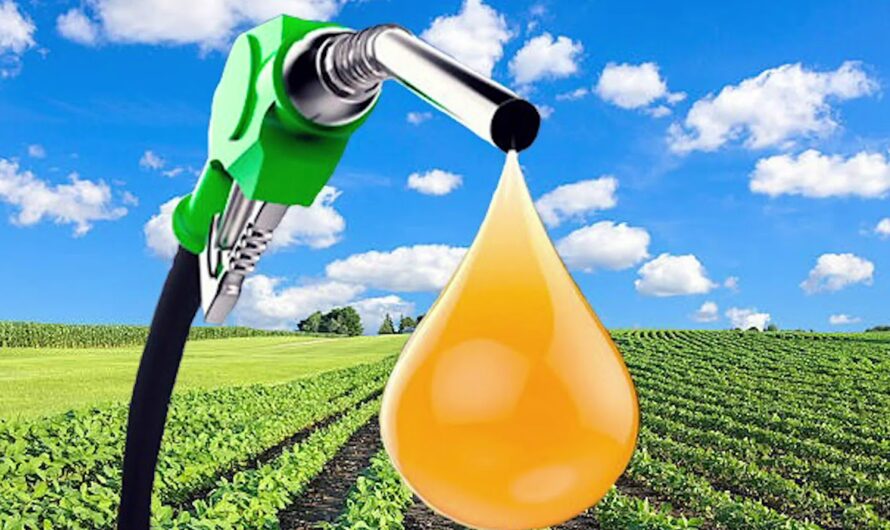 Biofuels: A Renewable Alternative To Conventional Fuels