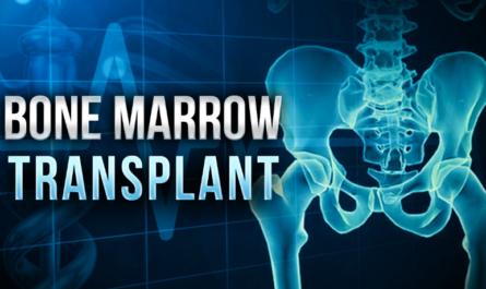 Bone Marrow Transplant Market