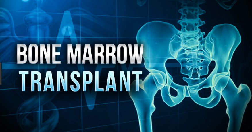 Bone Marrow Transplant Market