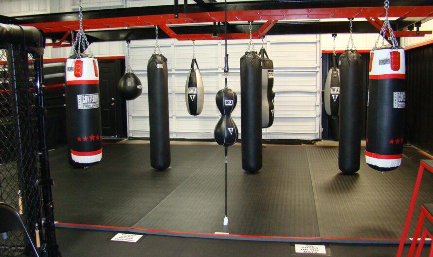 Boxing Equipment Market Is Gaining Traction With Rising Popularity Of Combat Sports
