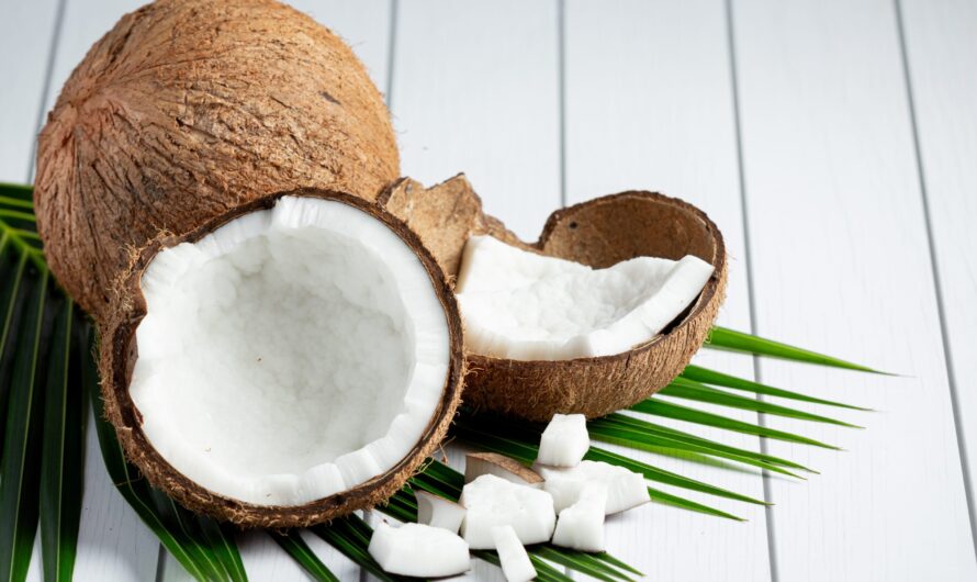 Coconut Wraps Market Is Expected To Be Flourished By The Growing Demand For Plant-Based Food Products