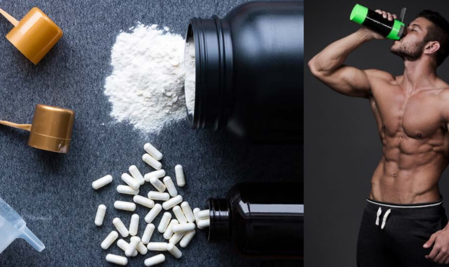 The Global Workout Supplements Market is Poised to Experience Robust Growth Driven by Evolving Fitness Culture