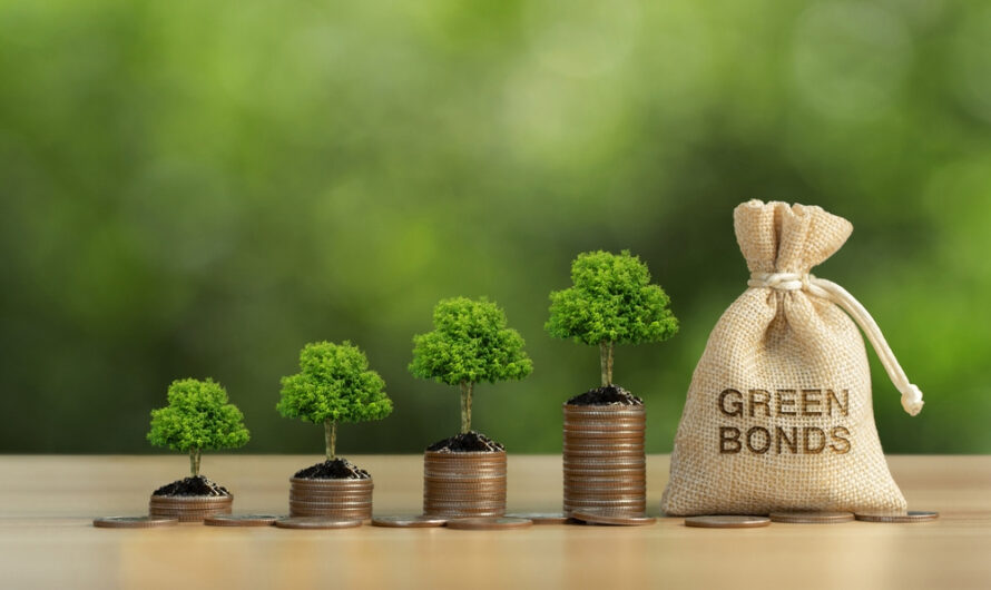 Green Bonds: Financing a Sustainable Future