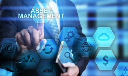 IT Asset Management Software Market