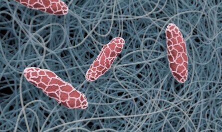 Global Nanofibers Market