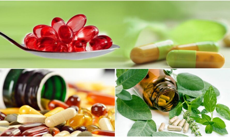 Nutraceutical Excipient Market Poised For Substantial Growth Due To Rising Demand For Enhanced Medicinal Properties