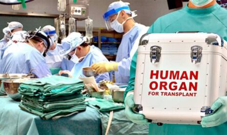 Organ Transplant Immunosuppressant Drugs Market