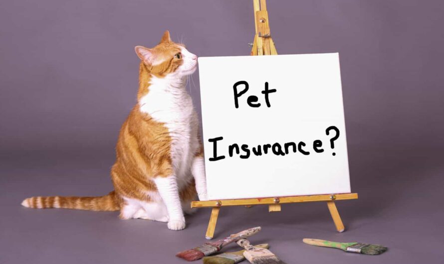 Pet Insurance Market Is Increasingly Keeping Pace With Pet Care Trends