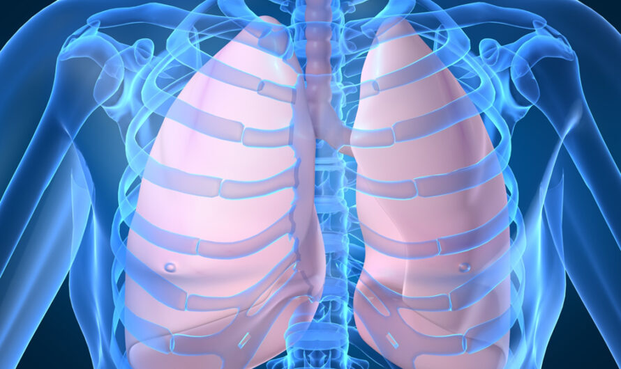 Breath of Relief: Exploring Pulmonary Drug Therapies