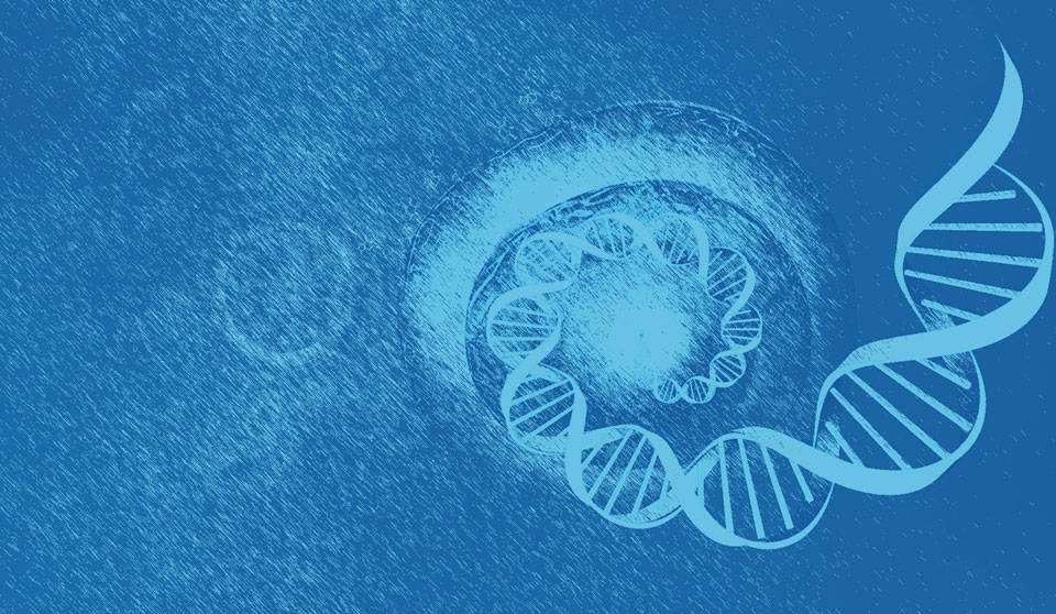 Single Cell Genome Sequencing Market