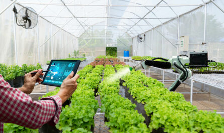 Smart Agriculture Solutions Market