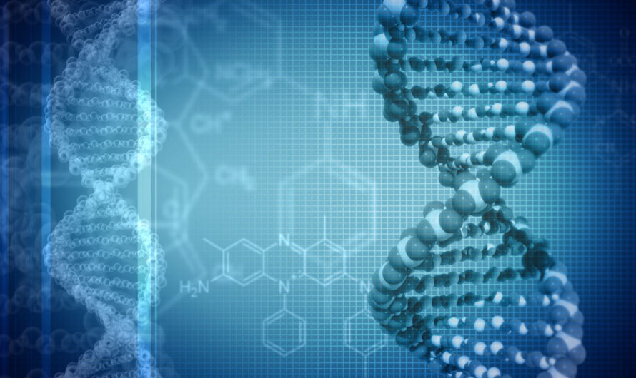 The Third Generation Sequencing Market Is Expected To Be Flourished By Growth In Personalized Medicine