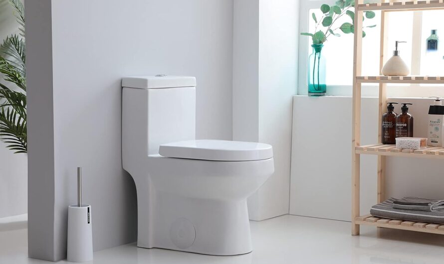Bidet Seat: Clean and Hygienic Toilet Experience