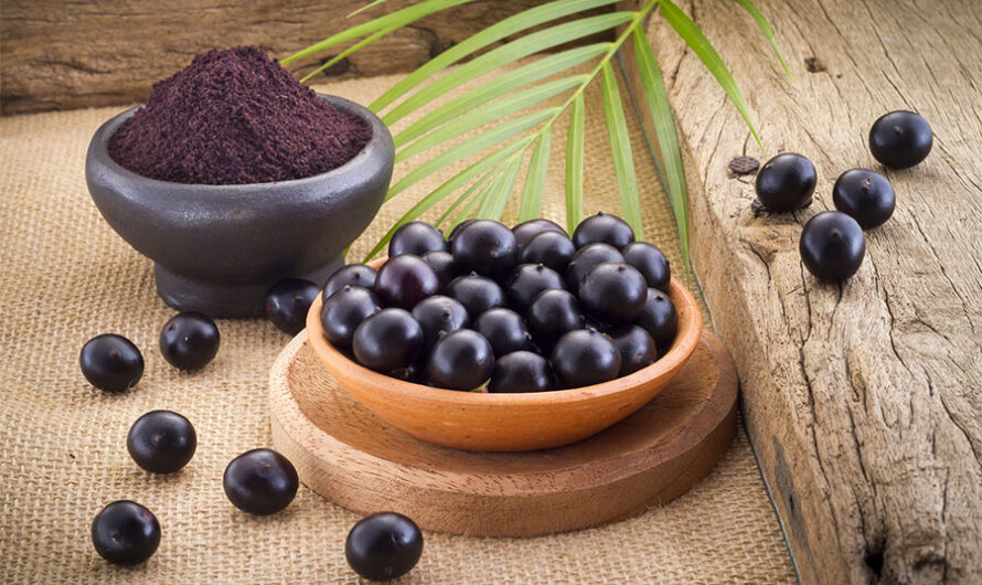 The Growing Acai Berry Market Propelled by Rising Health consciousness