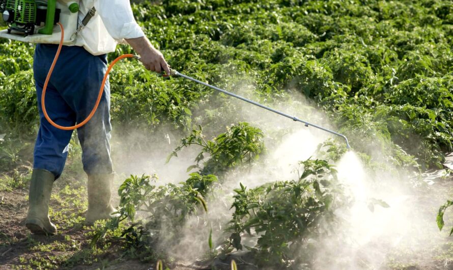 The Agrochemicals Market is Estimated to Witness High Growth Owing to Rising Demand for Crop Protection Chemicals
