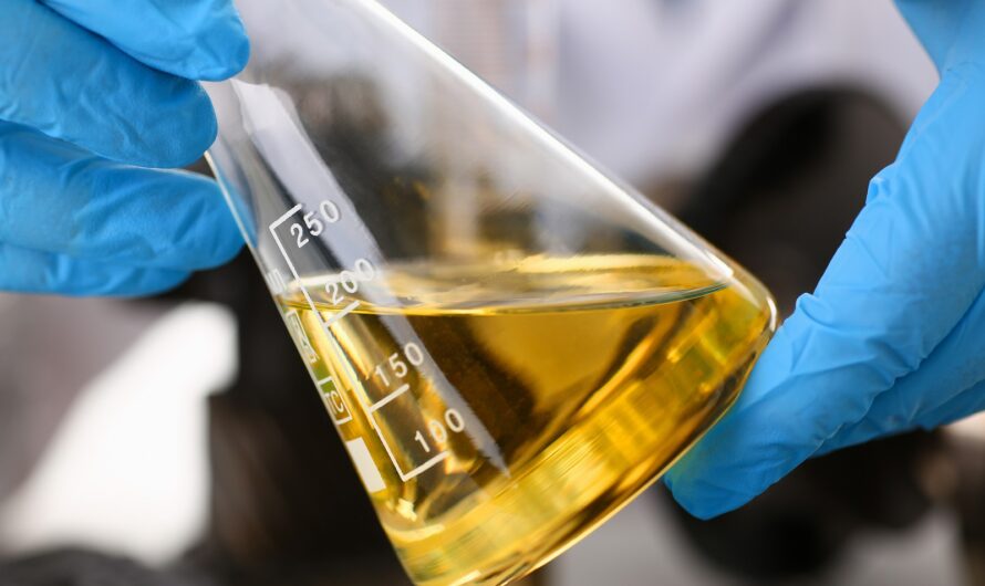 Biodiesel Catalyst: An Essential Component for Green Fuel Production