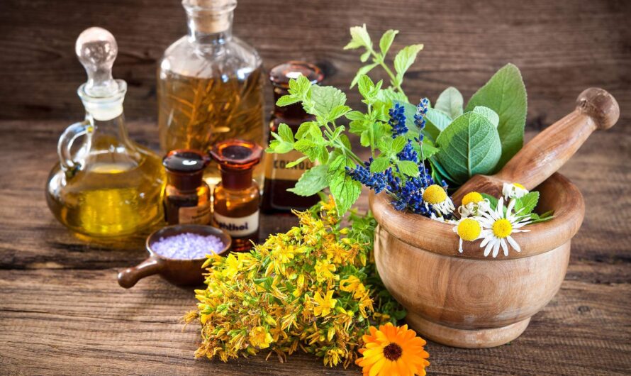 Cosmetic Botanical Extracts Market Is Poised To Grow At A Robust Pace Owing To Rising Skin Care & Hair Care Demand