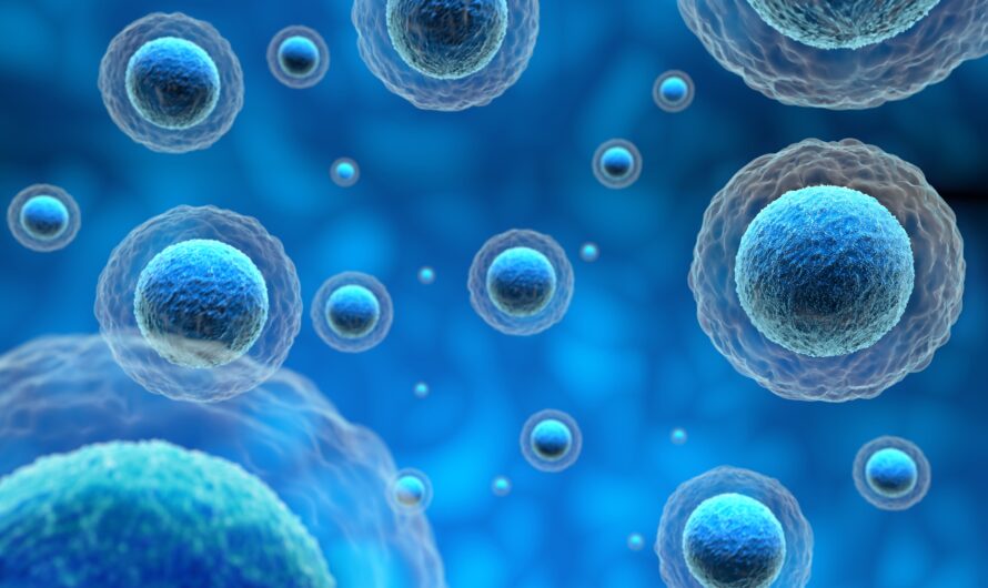 Global Induced Pluripotent Stem Cells Market is Estimated to Witness High Growth Owing to Increasing Research and Development