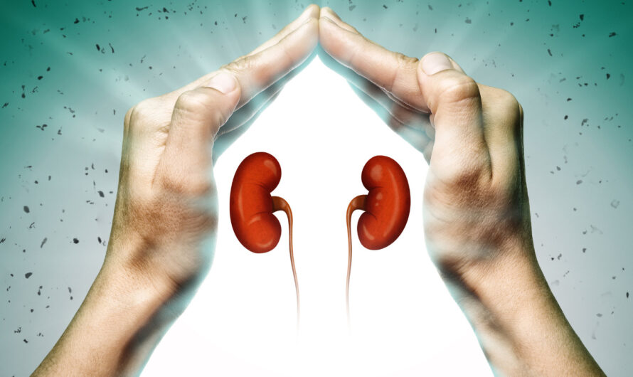 Growing Preference For Reduced Waiting Times To Drive Growth In The Kidney Transplant Market