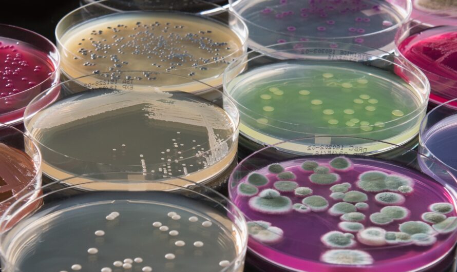The Emerging Market of Microbial APIs