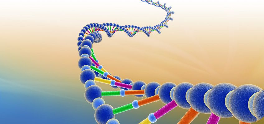 Recombinant DNA Technology: Unlocking The Secrets Of Genes