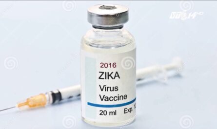 Zika Virus Vaccine