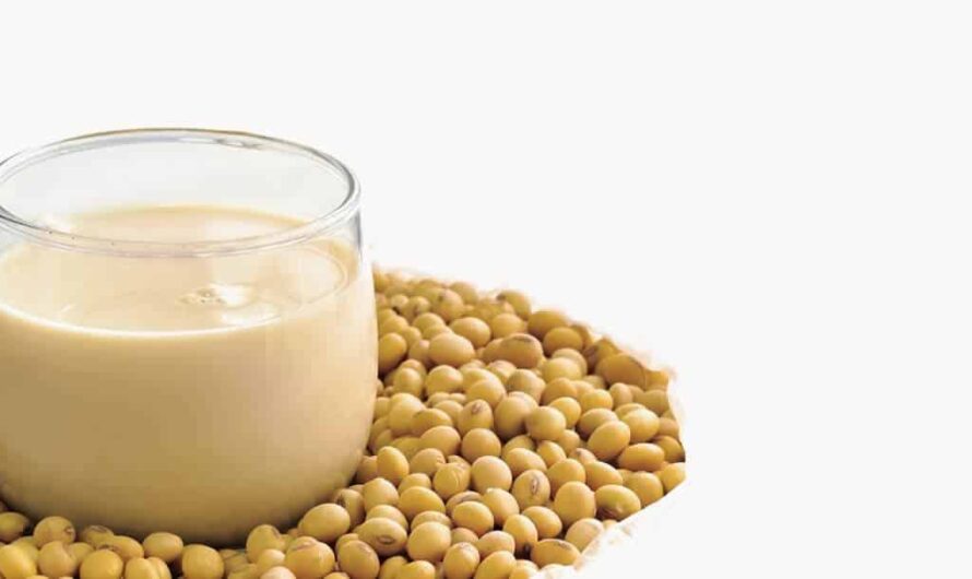Soy Protein Market is Estimated to Witness High Growth Owing to Rising Demand for Plant-based Proteins