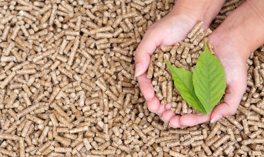 The Rise of Biomass Solid Fuel Market insights
