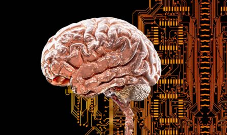 Brain Network Condition Identified