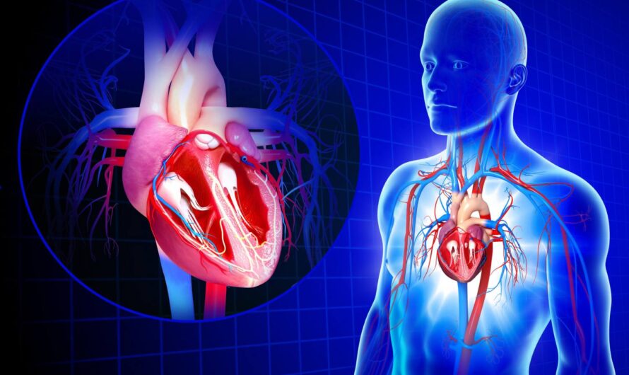 Study Confirms Polypills Reduce Cardiovascular Deaths