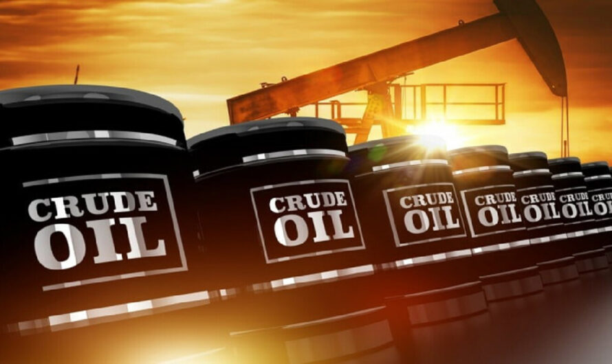 Global Crude Tall Oil Market set for robust growth by 2031 owing to growing demand for Sustainable Solutions