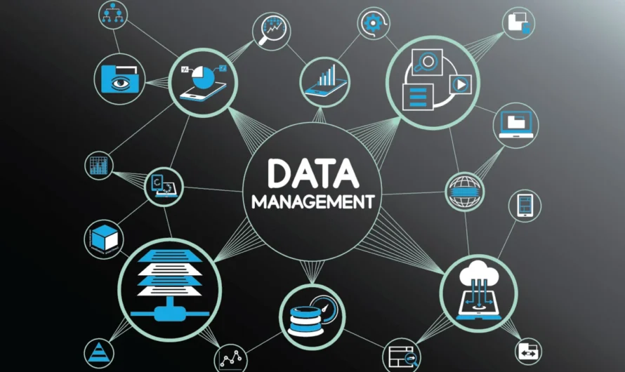 Data Management Advertising Software: How Data Management Software Can Help Optimize Your Digital Advertising Efforts