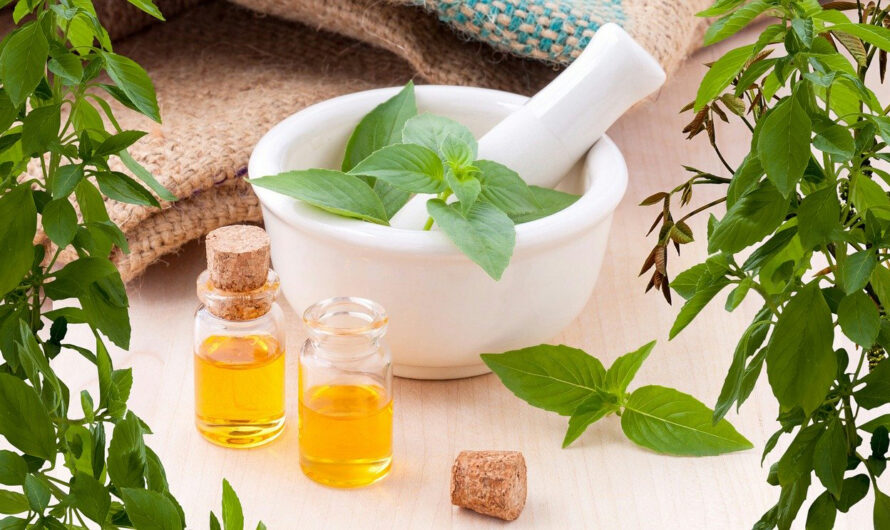 Herbal Extract Market Poised to Witness Robust Growth Due to Increasing Demand for Natural Ingredients