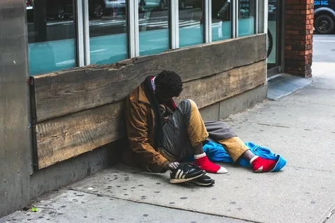 Identifying the Prevalence and Consequences of Homelessness in Emergency Department Patients: Insights from a Vanderbilt University Medical Center Study