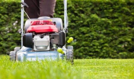 Lawn & Garden Equipment Market