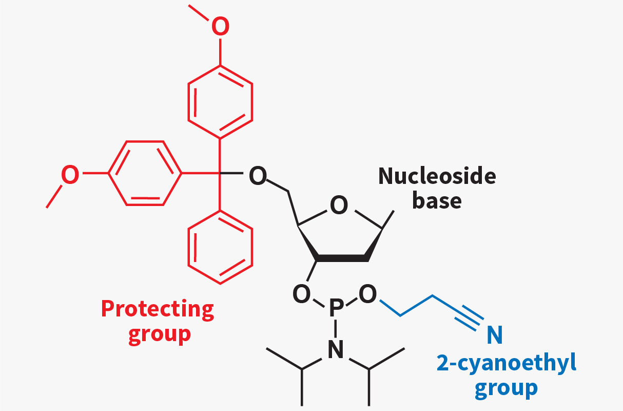 Phosphoramidite Market