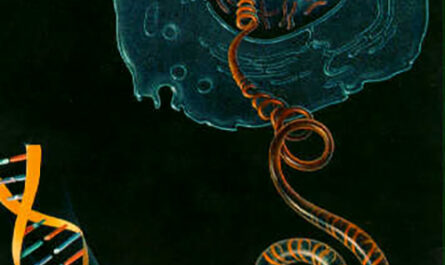 Single Cell Genome Sequencing Market