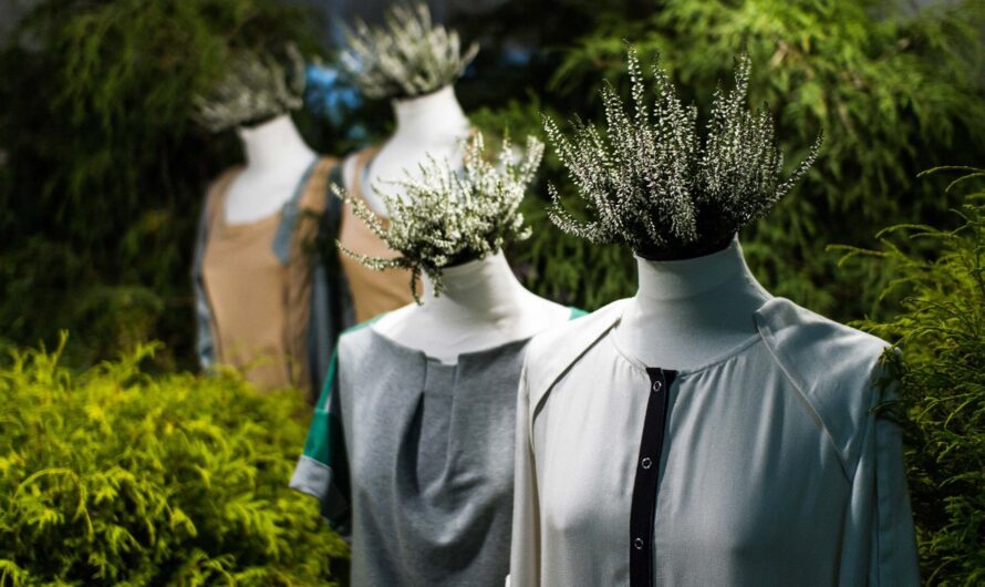Global Sustainable Fashion Market Poised to Grow Rapidly Due to Increasing Adoption of Bio-Based Materials