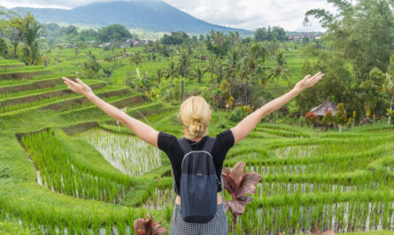 Sustainable Tourism Market