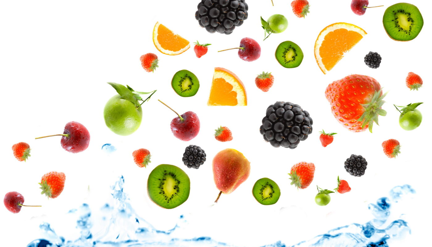 Complexity of Fruit Fly Behavior