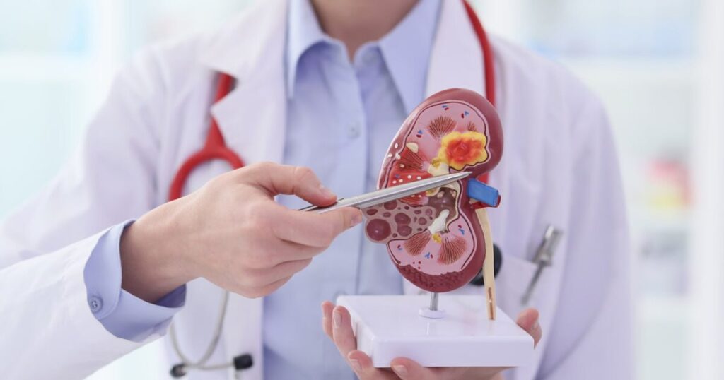 Global Wearable Artificial Kidney GroundBreaking Progress