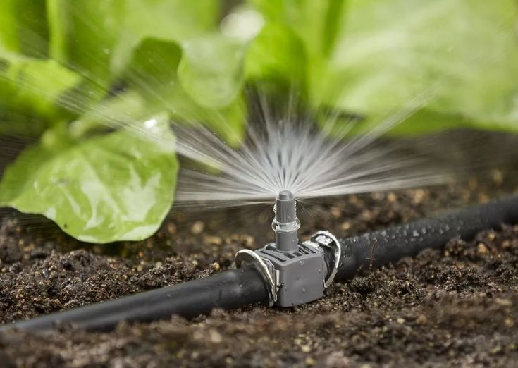 MENA Drip Irrigation System